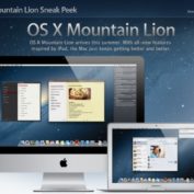 mountain-lion