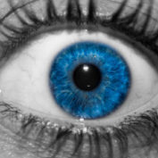 wordpress-retina
