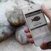 iphone-smell-fish