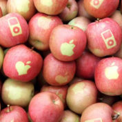 apple pomme