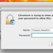 Chromium Mot de passes enregistres securite